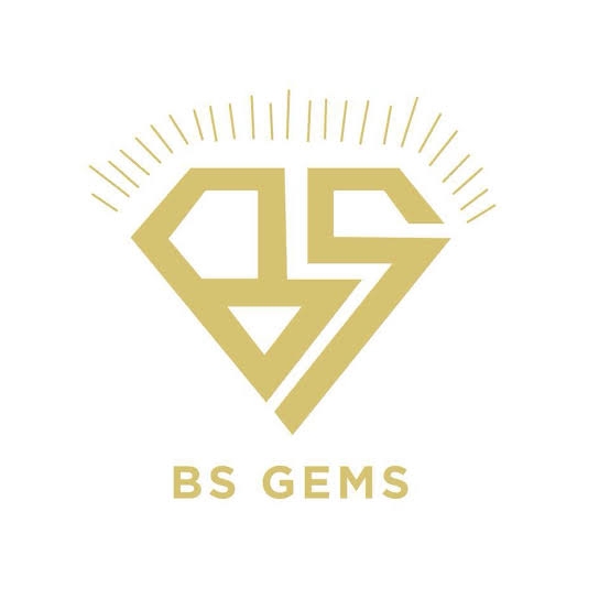 BSGEMS14